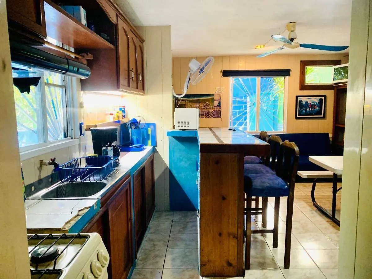 Casa Azul Very Local Experience Διαμέρισμα Τουλούμ