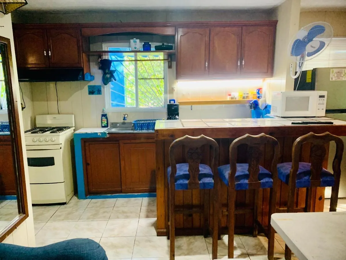 Casa Azul Very Local Experience Διαμέρισμα Τουλούμ 0*,